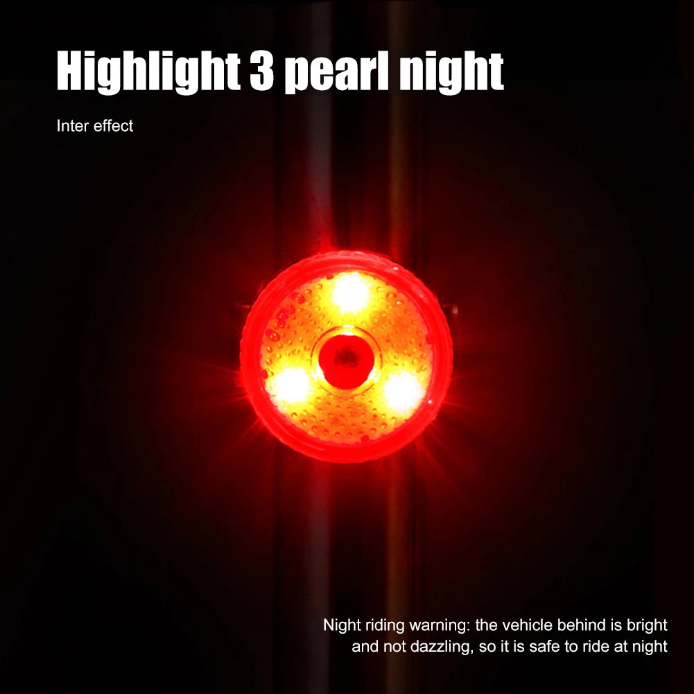 Taillight & Headlight